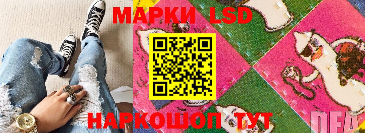 где купить наркотик  Марки 25I-NBOMe 1,8мг  Вход с VPN  Зерноград 
