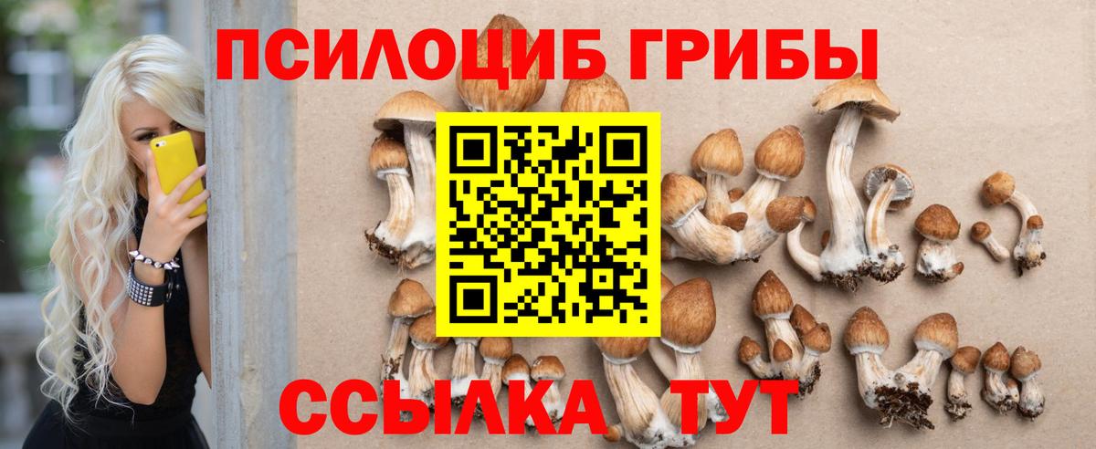 продажа наркотиков  Галлюциногенные грибы ЛСД  Галлюциногенные грибы Psilocybe  Вход с VPN  Зерноград 