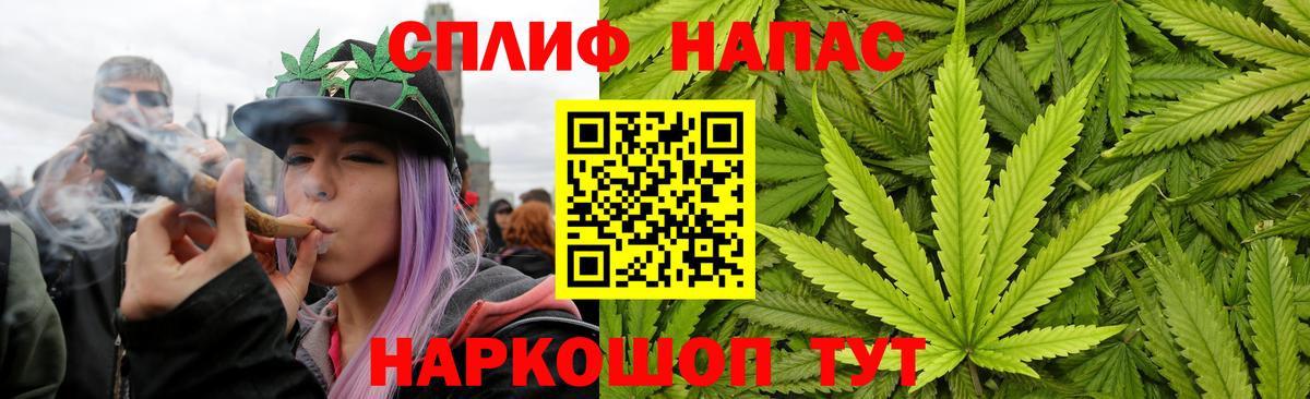 Бошки марихуана планчик  Зерноград  Каннабис Bruce Banner  Конопля White Widow 